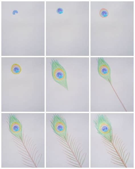 How To Draw A Peacock Feather : Begin by drawing two curved lines ...