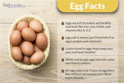 10 Key Health Benefits of Eggs in Your Diet - DrJockers.com