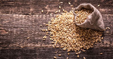 The Role Of Malt In Beer | VinePair