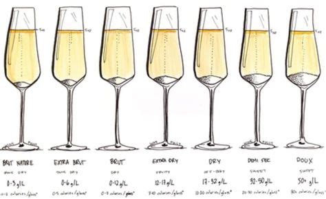 58 Best Types of Sparkling Wines images in 2020 | Sparkling wine, Wines ...