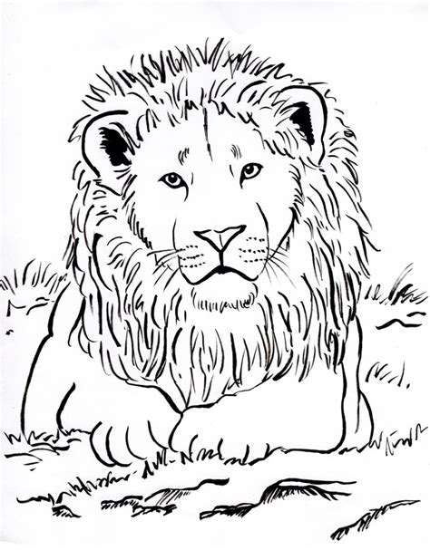 Lion Coloring Page - Samantha Bell