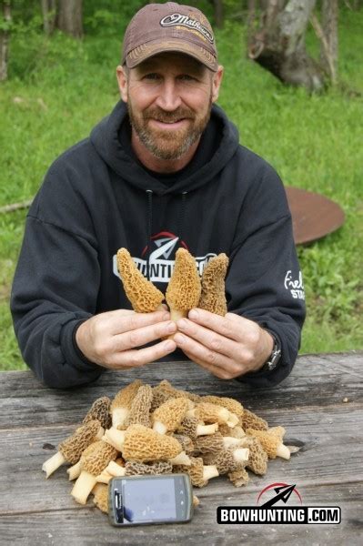 Morel Mushroom Hunting Tips and Tactics