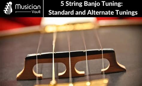 5 String Banjo Tuning: Standard and Alternate Tunings - Musician Vault