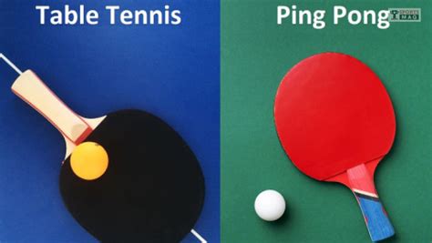 Ping Pong Vs Table Tennis: What's The Differences? | TSM
