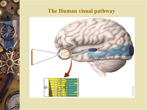 Virtual retinal display ppt