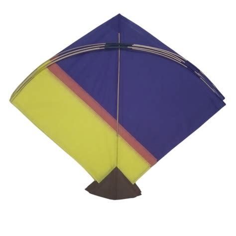 PatangDori Combo 40 Kites 5 different designs Guaranteed & 1 charkhi/firki/spool - PatangDori.com