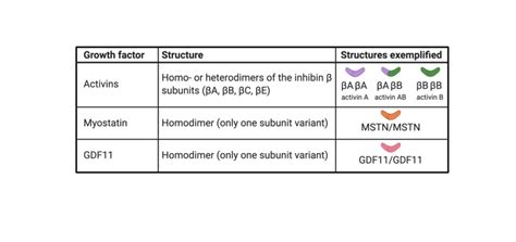 Growth factor structure summary. | Download Scientific Diagram