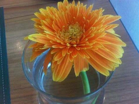 ดอก.... | Glass vase, Vase, Decor