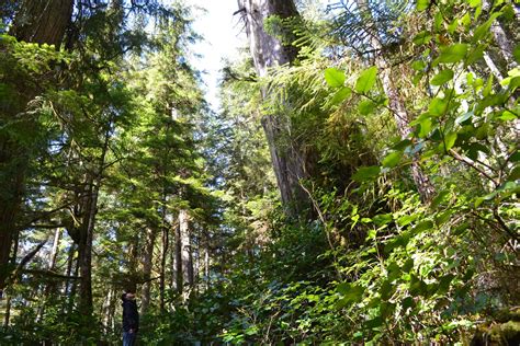 Beaver Lake Interpretive Trail — Cove Adventure Tours - Explore ...