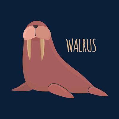Walrus Logo Vector Art, Icons, and Graphics for Free Download