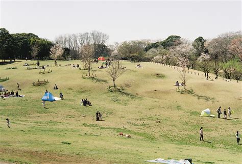 "Negishi Forest Park", Yokohama | 1146_USB_34.jpg | yys1979 | Flickr