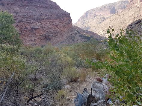 Cottonwood Campground, Backcountry Camping, Grand Canyon National Park, Arizona | Womo-Abenteuer