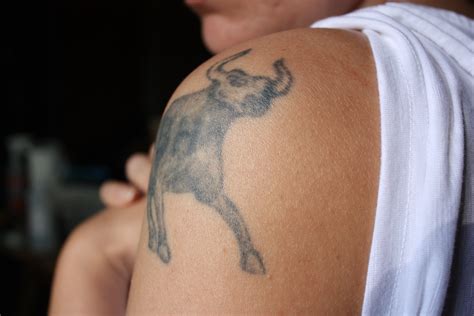 Taurus Tattoos Designs, Ideas and Meaning | Tattoos For You