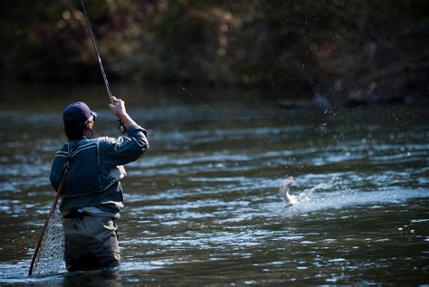 Tim Harris Photojournalist: Fly Fishing