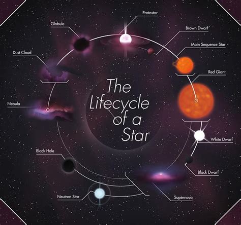 Life Cycle of a Star - Seven Main Stages of a Star - Stellar Evolution ...