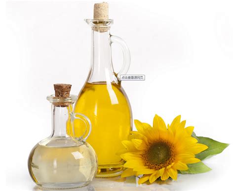 How to choose good edible oil? | Edible Oil Machine