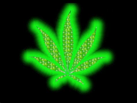 Marijuana GIFs - Find & Share on GIPHY