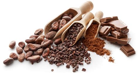 Cacao, Cocoa & Chocolate: What are the Differences and Do They Matter ...