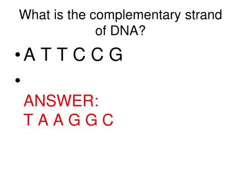 PPT - What is the complementary strand of DNA? PowerPoint Presentation - ID:3889086