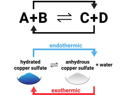 Reversible Reactions and Equilibria | Edexcel GCSE | revise-science.uk