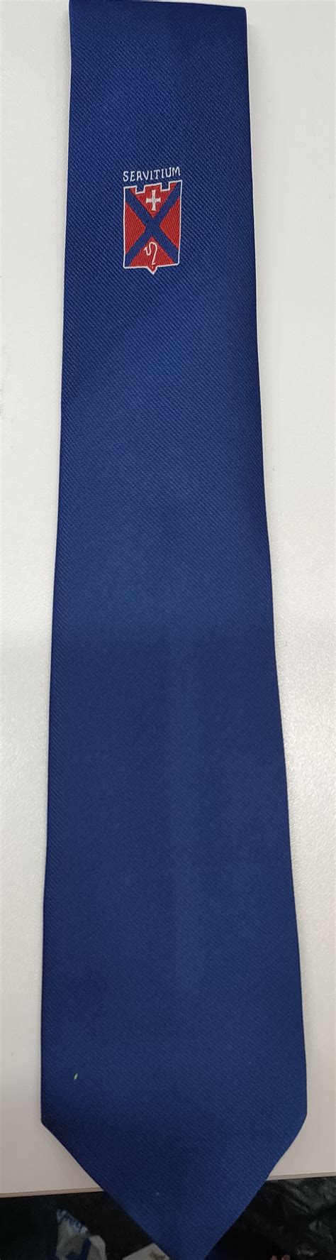 Mearns Castle High School S4 - S5 Tie (Blue) - Blossoms Schoolwear