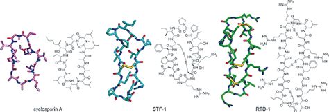 Naturally occurring cyclic peptides: Crystal and chemical structures of ...