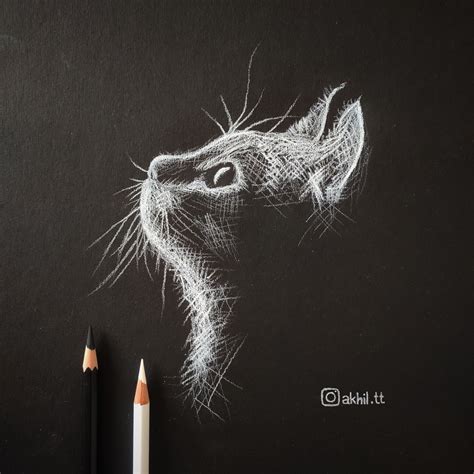 Cat Sketches In Pencil