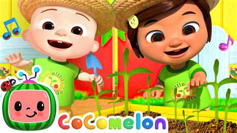 Gardening Song en Español! Learn Spanish con CoComelon Nursery Rhymes - YouTube