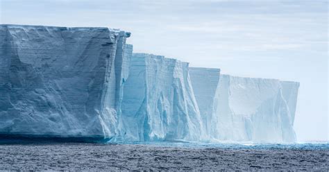 'Bergxit': One Of The Largest Icebergs On Record Set To Break From ...