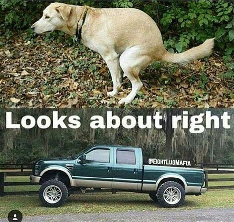 14+ Ford Jokes Funny - MarcoKellis