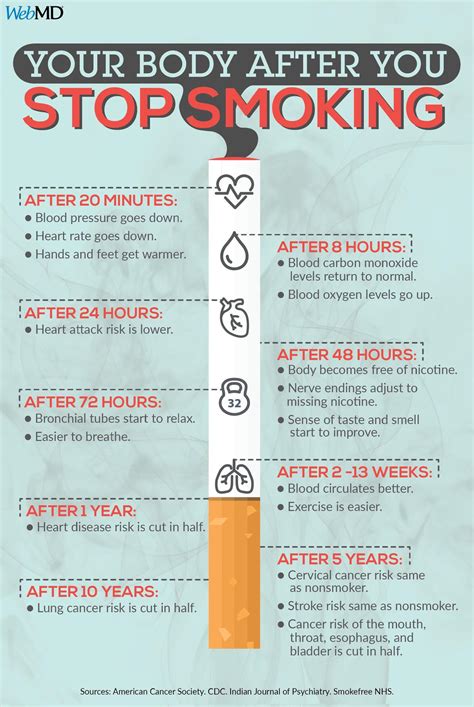 What happens to your body when you quit smoking : r/coolguides