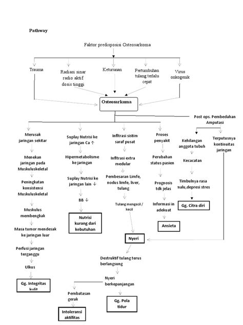 Pathway | PDF