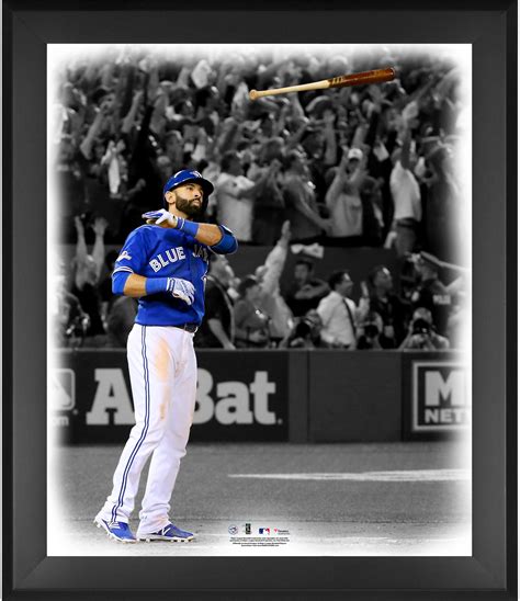 Jose Bautista Toronto Blue Jays Framed 20" x 24" Bat Flip In the Zone ...