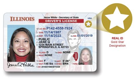 New IL legislation will provide driver's licenses to undocumented ...