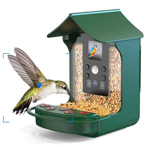 10 Best Bird Feeder Cameras (August 2023) Buyers Guide