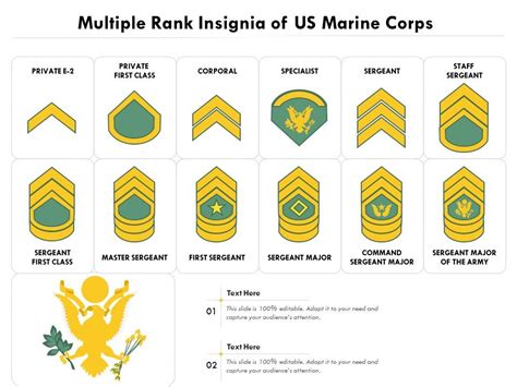 Marine Corps Rank Structure Logo