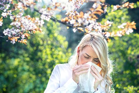 It’s Hay Fever Season In Canada. What You Can Do To Fight Allergies