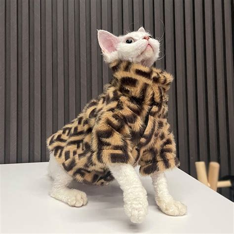 Sphynx Cat Fur Coat | Sphynx Fendi Coat, Fendi Coat for Cats