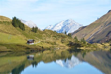 Alpine lake. Switzerland stock image. Image of countryside - 36871147