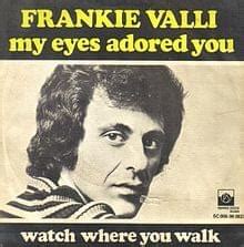 Frankie Valli – My Eyes Adored You Lyrics | Genius Lyrics