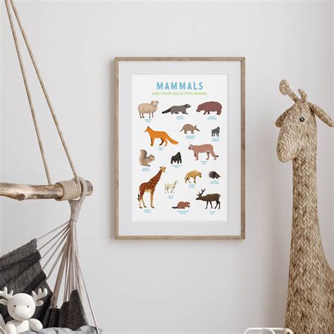 Collective Nouns Poster (Mammals) - digital – Get the Kids Outside