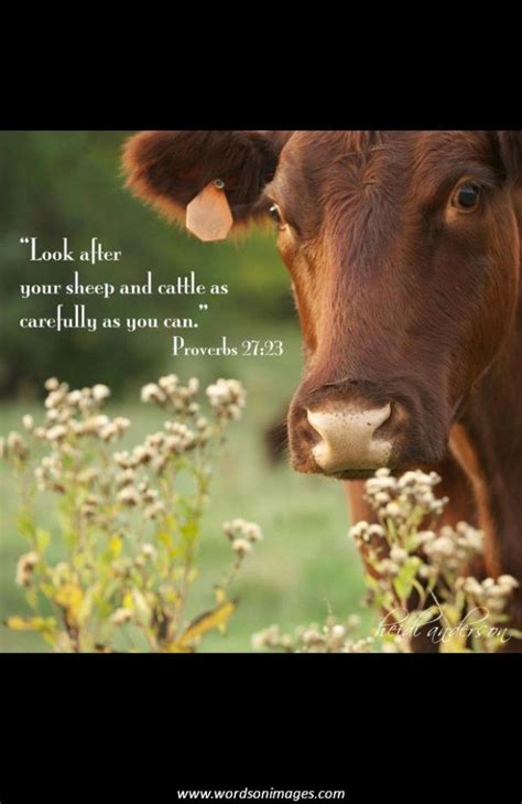 Cow I Love Quotes. QuotesGram