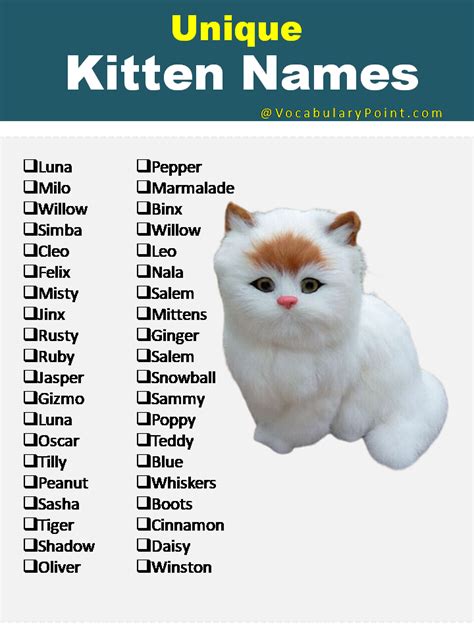 270+ Funny and Cute Names for Kittens 2024 - Vocabulary Point