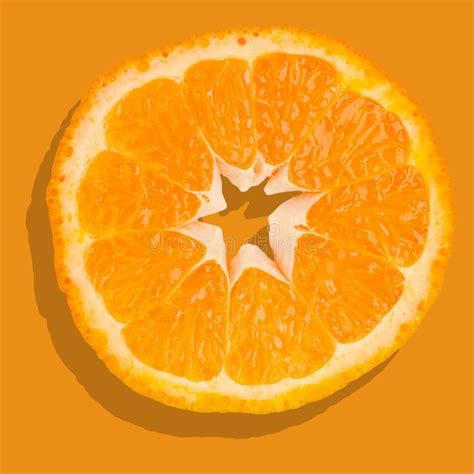 Orange fruit slices stock image. Image of backdrop, isolated - 172474177