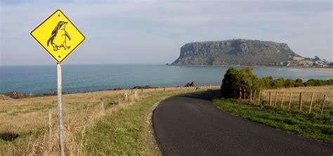 Things to do in Stanley & The Nut | Enjoy Tasmania