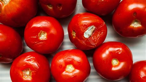 Use Overripe Tomatoes to Make Tomato Water - Bon Appétit | Bon Appétit