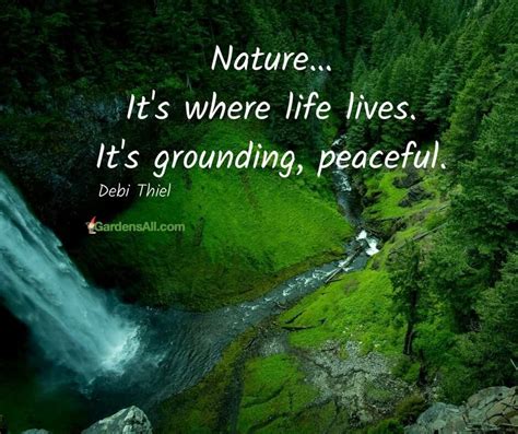 Nature Quotes, Peace, Life, Sobriety, World