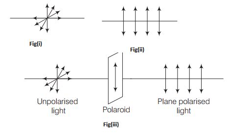 Distinguish between unpolarized light and linearly toppr.com