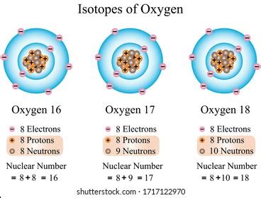 How Many Protons Neutrons and Electrons Are in Oxygen 17