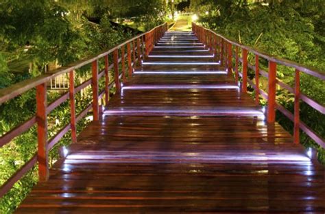 Landscape Design – Professional Walkway Lighting for Your Home ...